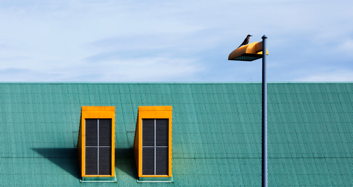The yellow lamp Poster och Canvastavla