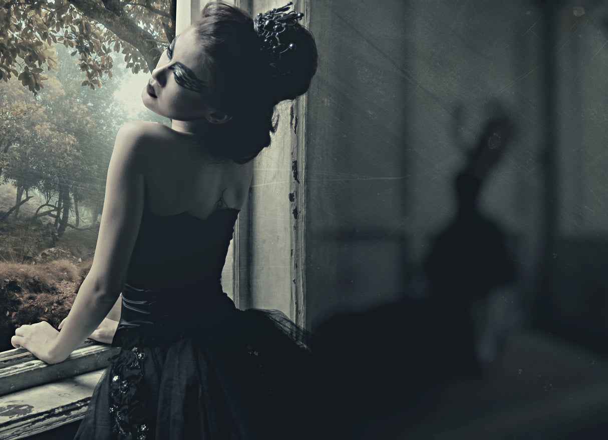 The Dancer Poster och Canvastavla