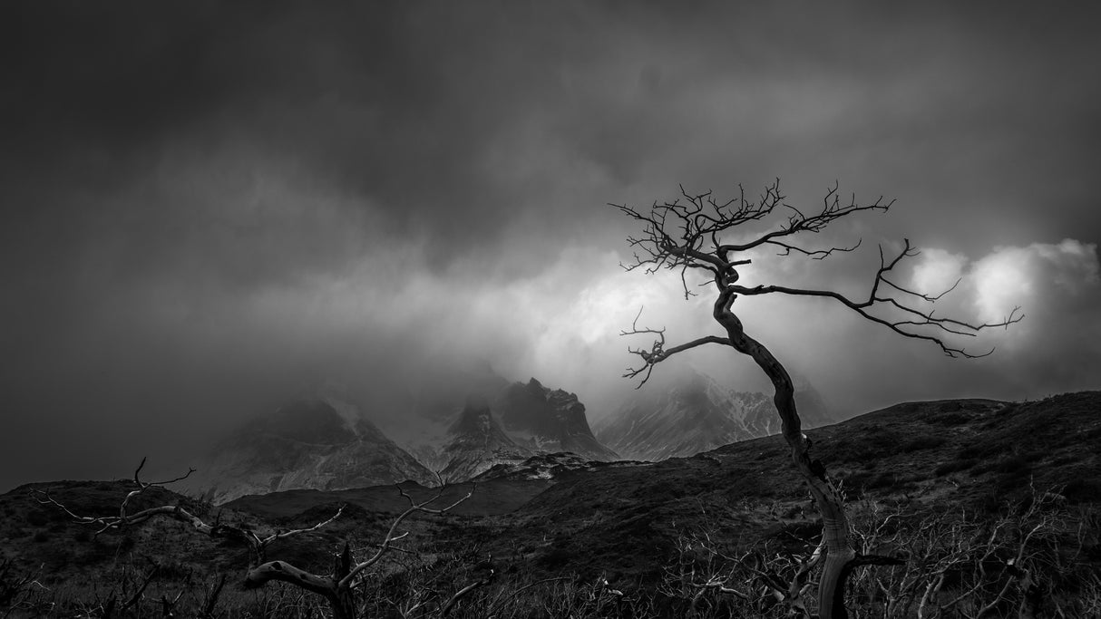 Stormy day Poster och Canvastavla