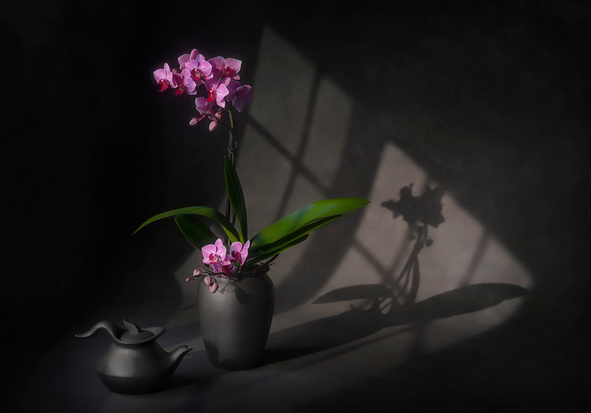 Warm Sunlight Poster och Canvastavla
