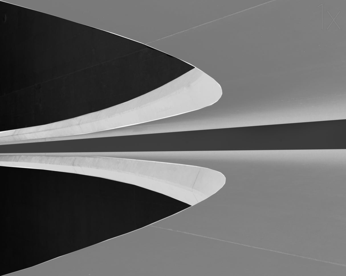 CURVED LINES Poster och Canvastavla