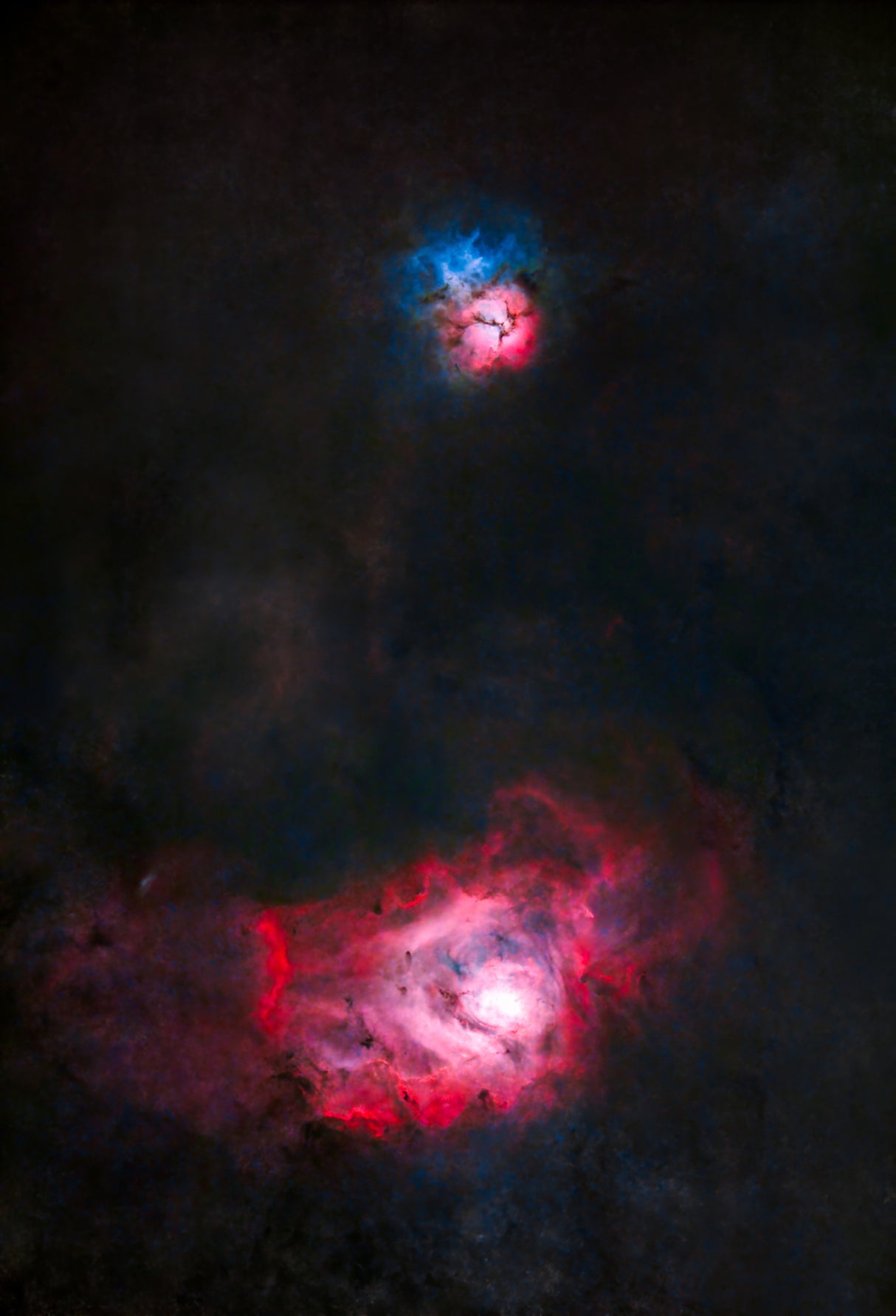 Lagoon&Trifid Poster och Canvastavla