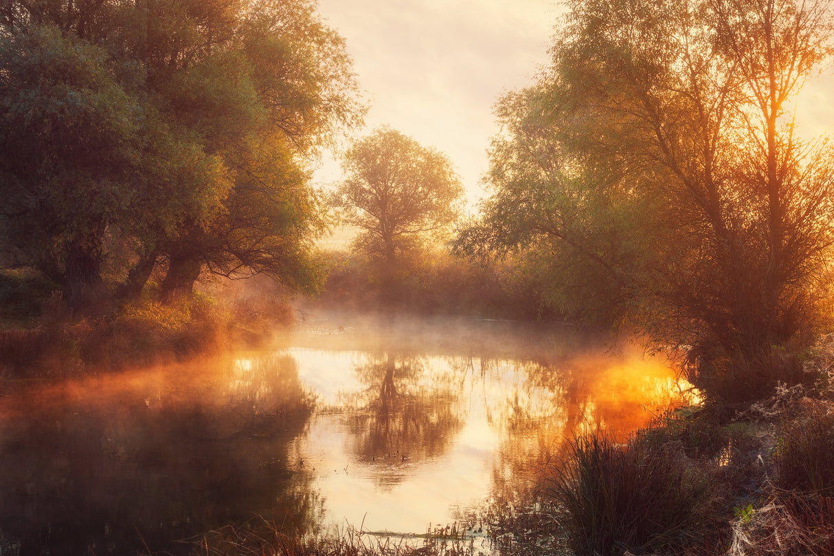 When Nature Paints with Light II Poster och Canvastavla