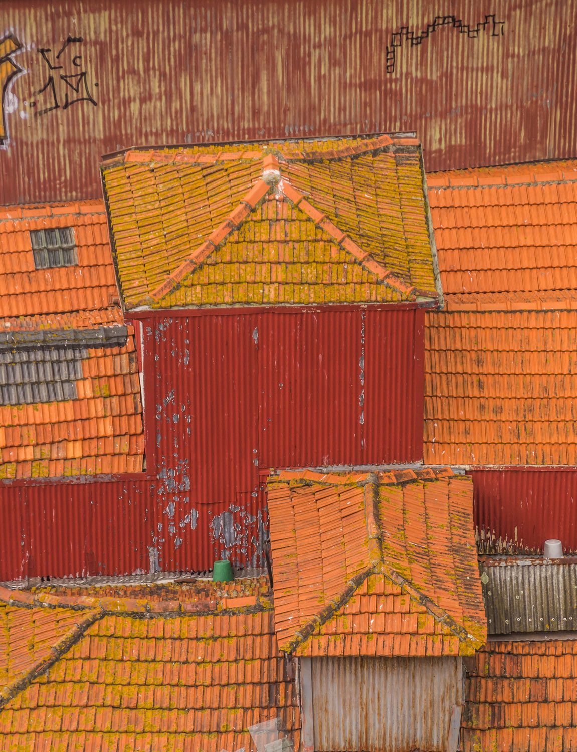 Rooftops of Porto Poster och Canvastavla