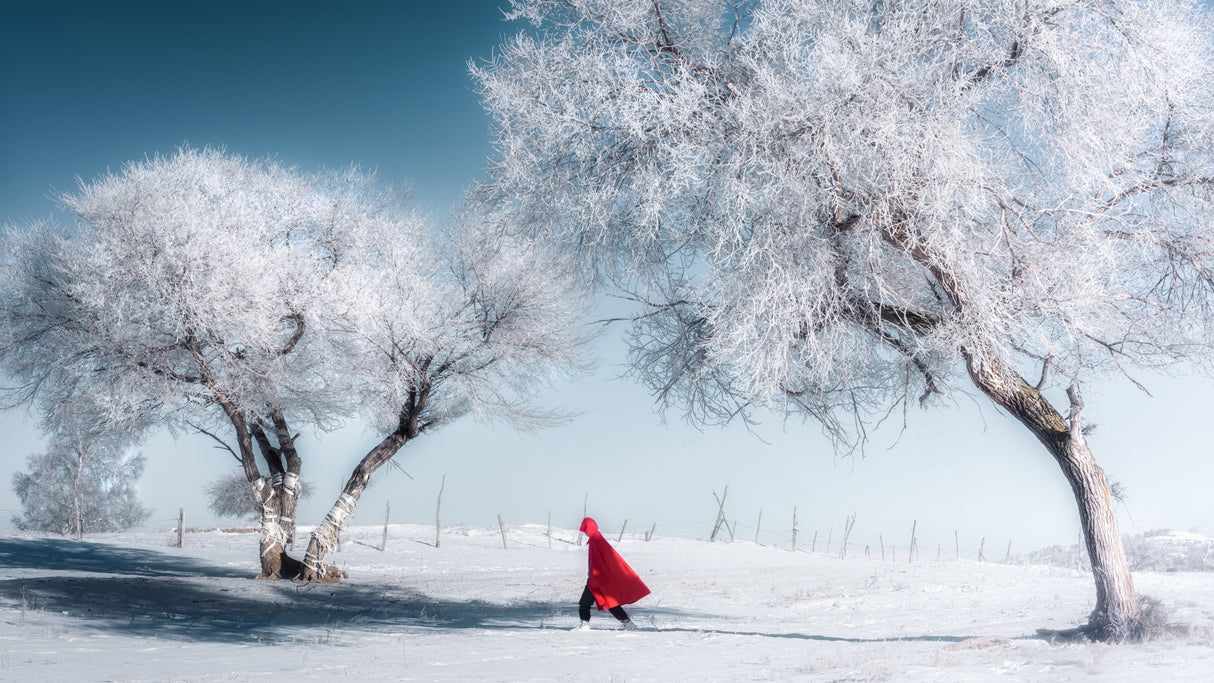 A world of ice and snow Poster och Canvastavla