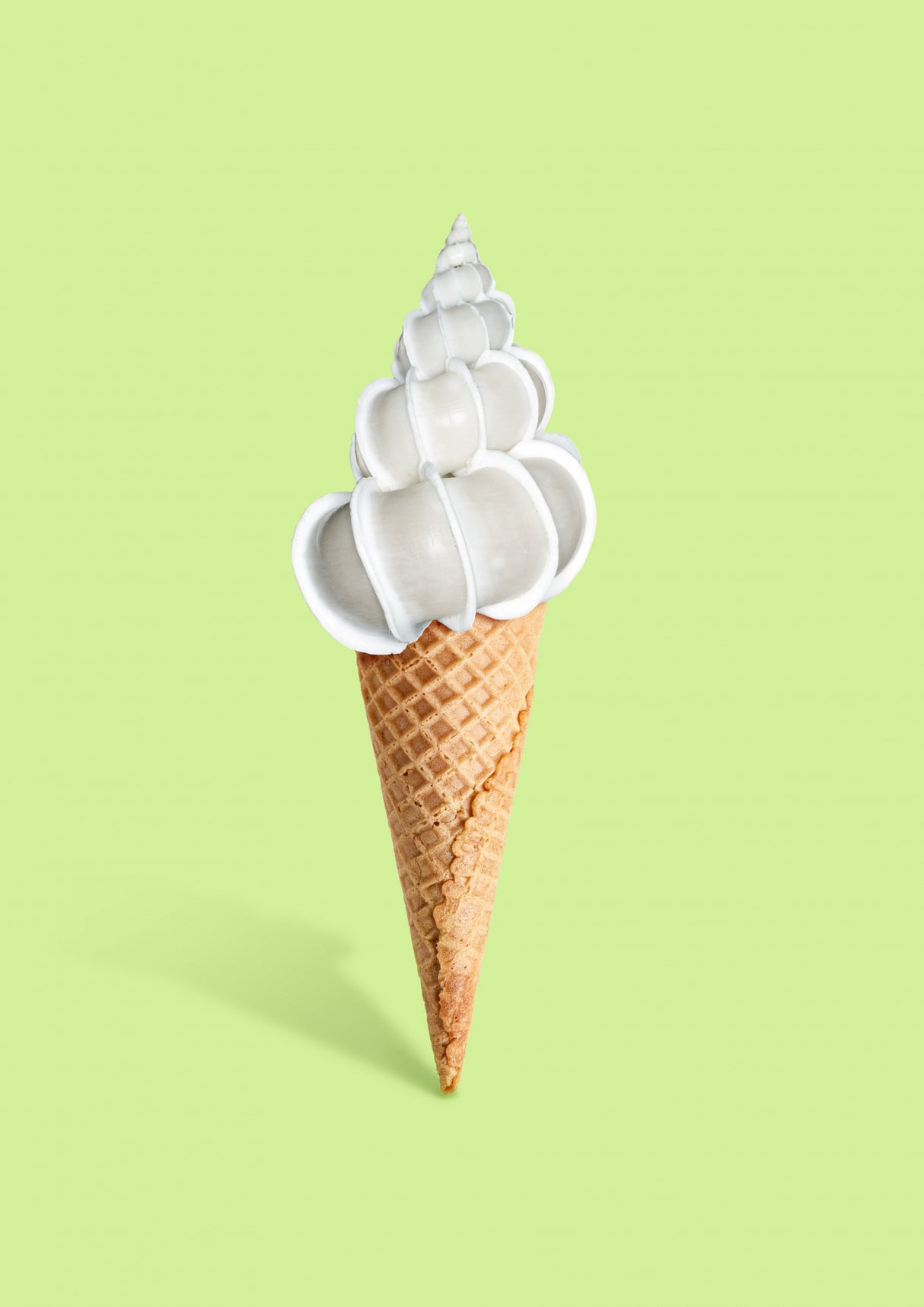 Shell cream Poster och Canvastavla
