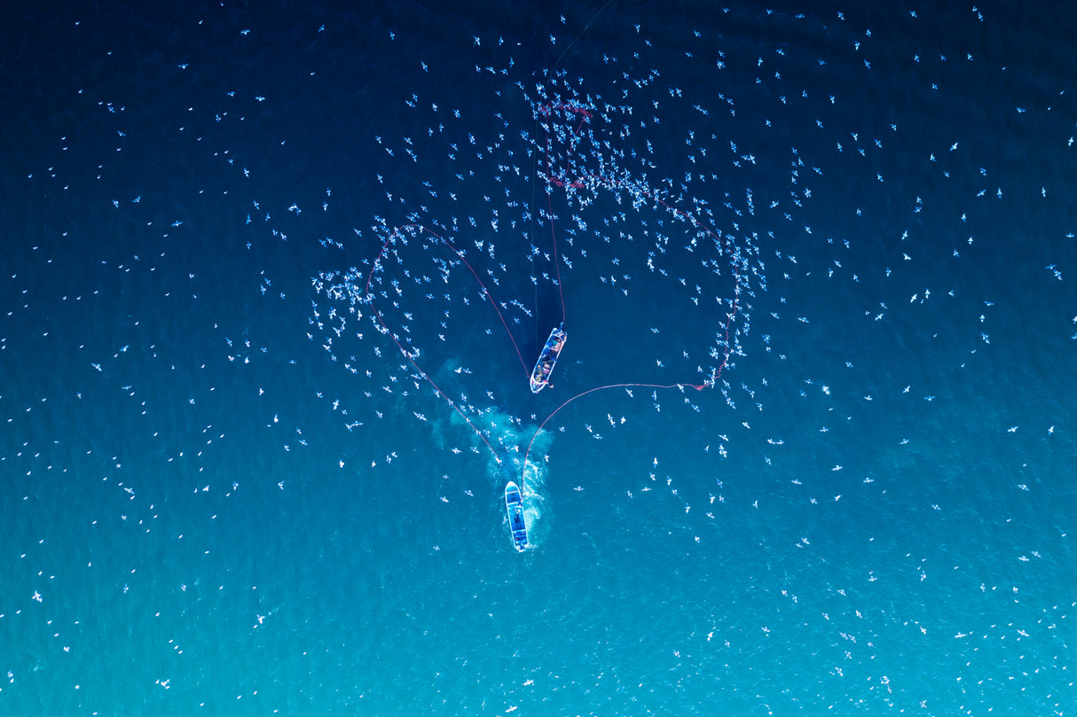 Fishing Poster och Canvastavla