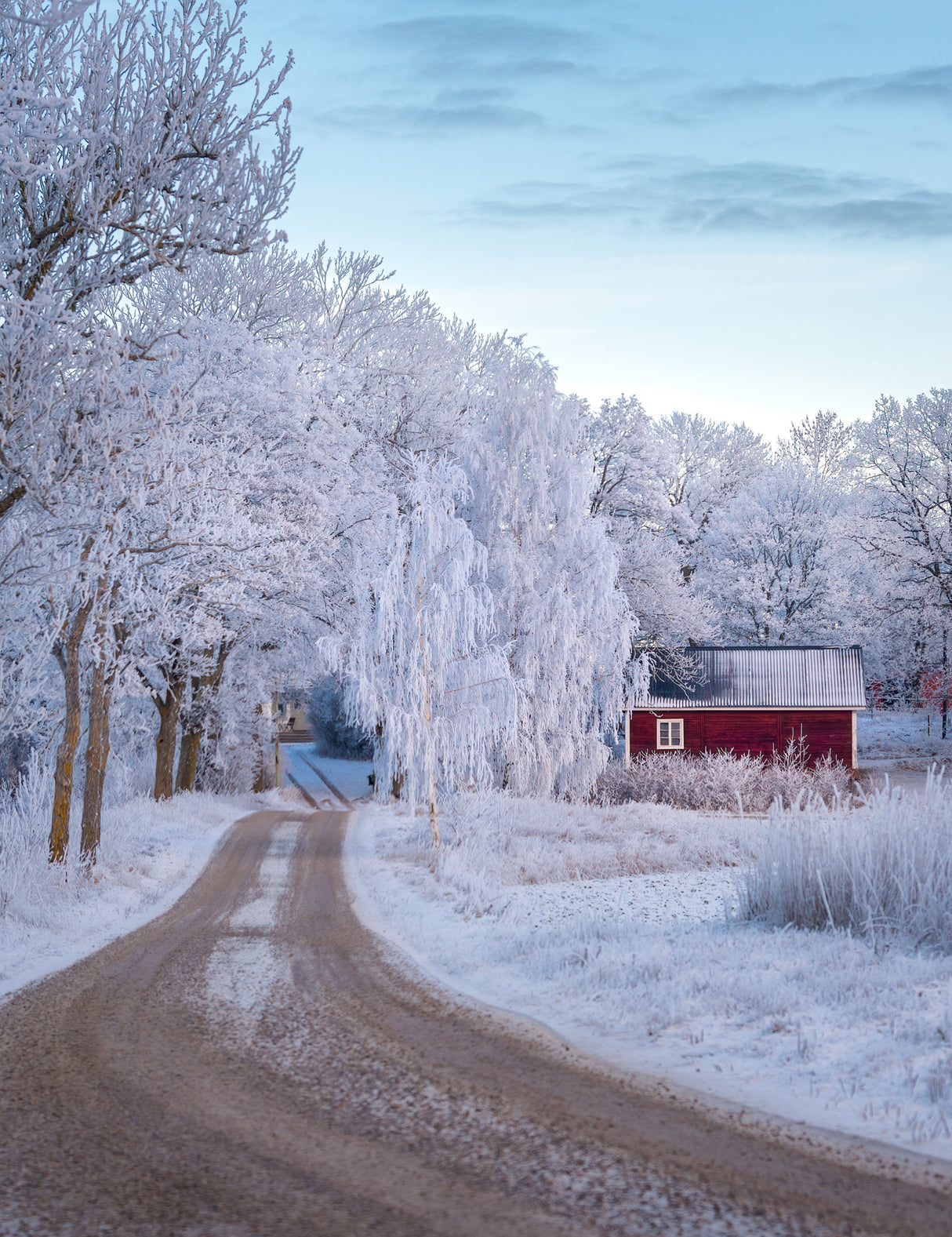 Frosty road Poster och Canvastavla