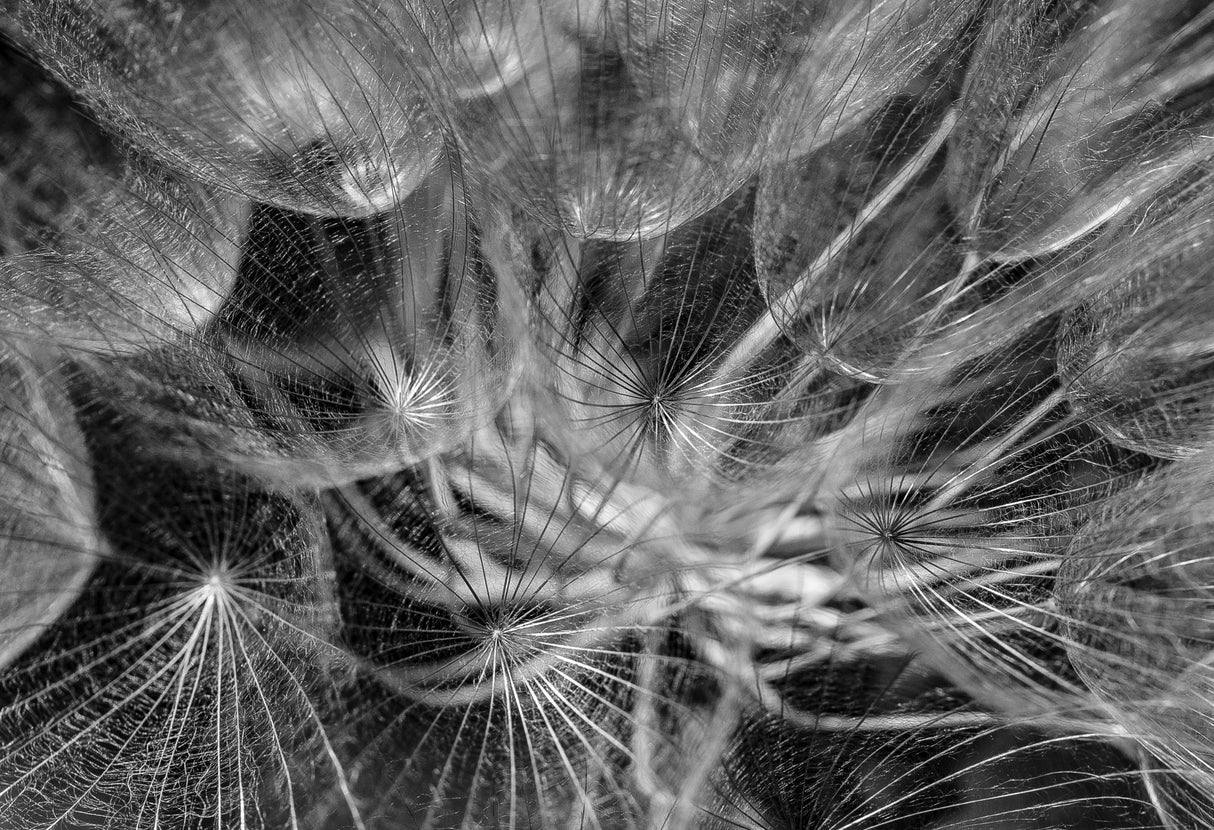 in to the mood Poster och Canvastavla