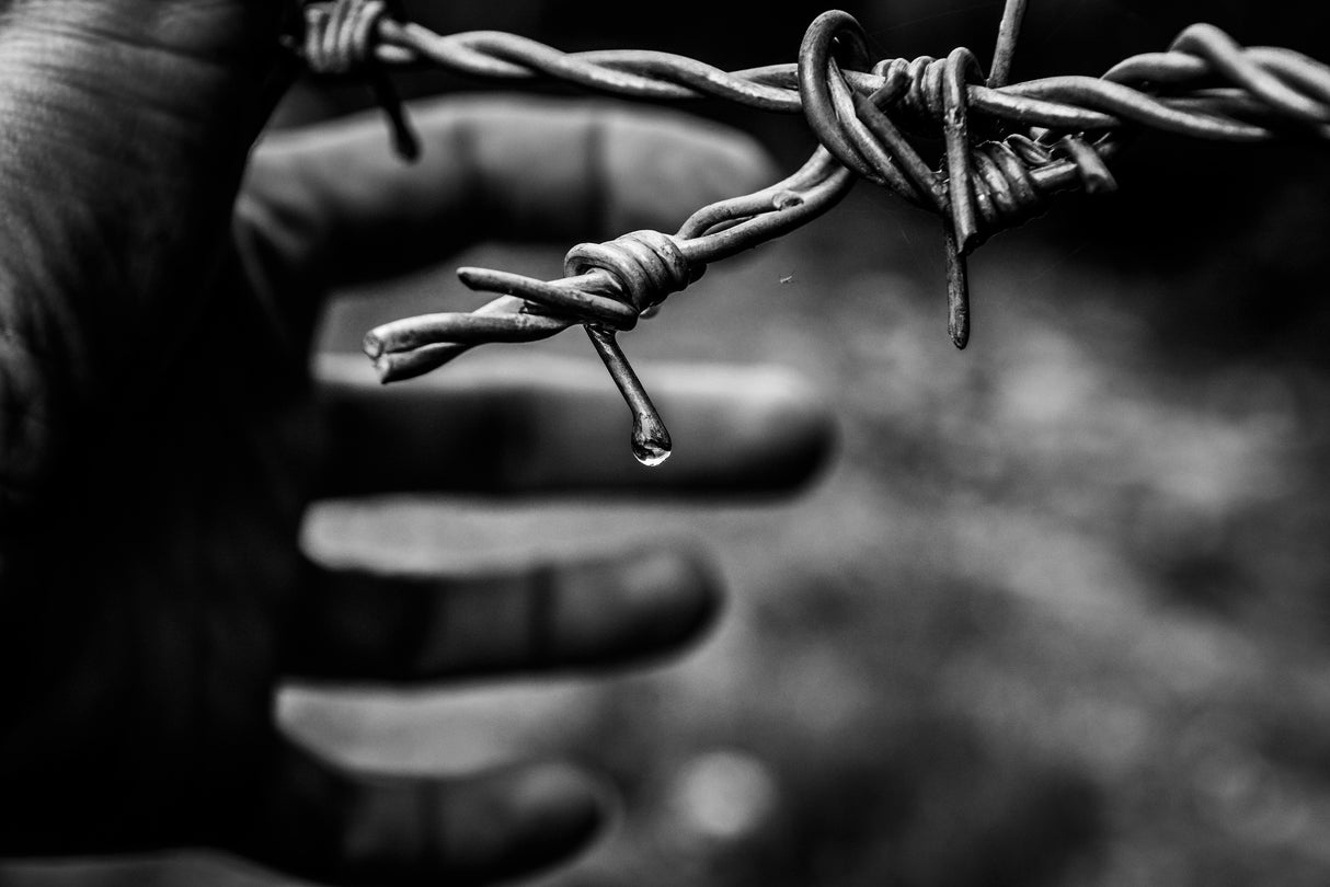 Hand and metal fence BW Poster och Canvastavla