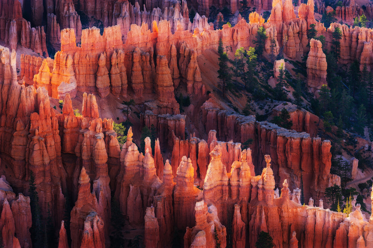 Bryce Canyon at Sunset Poster och Canvastavla