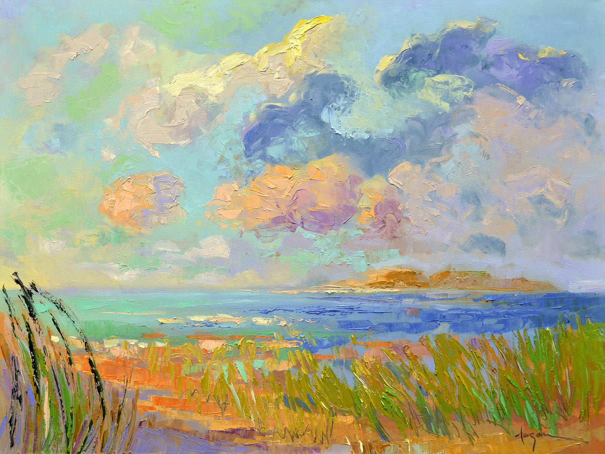 Df19172020onasummerdayii Poster och Canvastavla