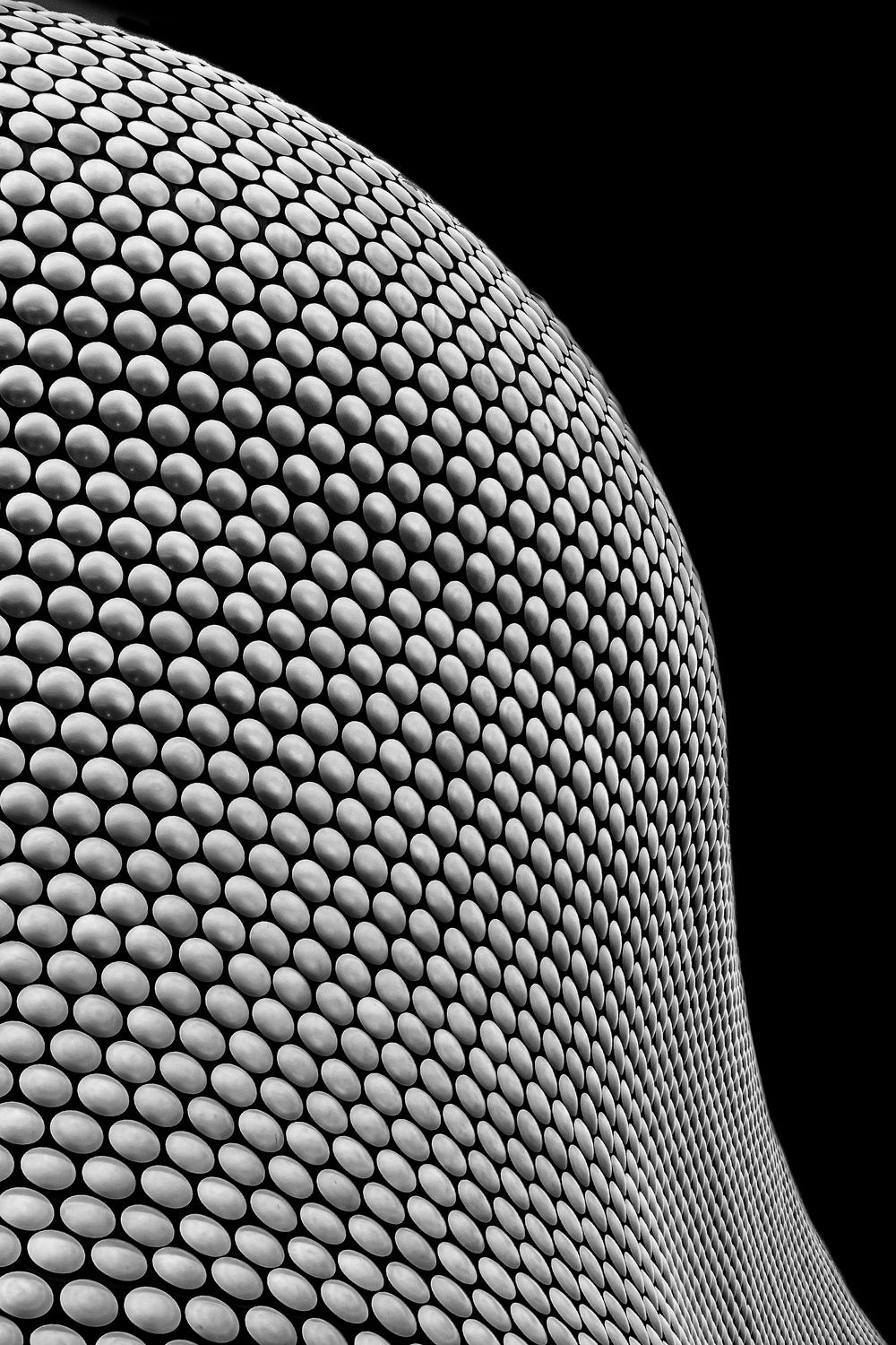 Bullring Poster och Canvastavla