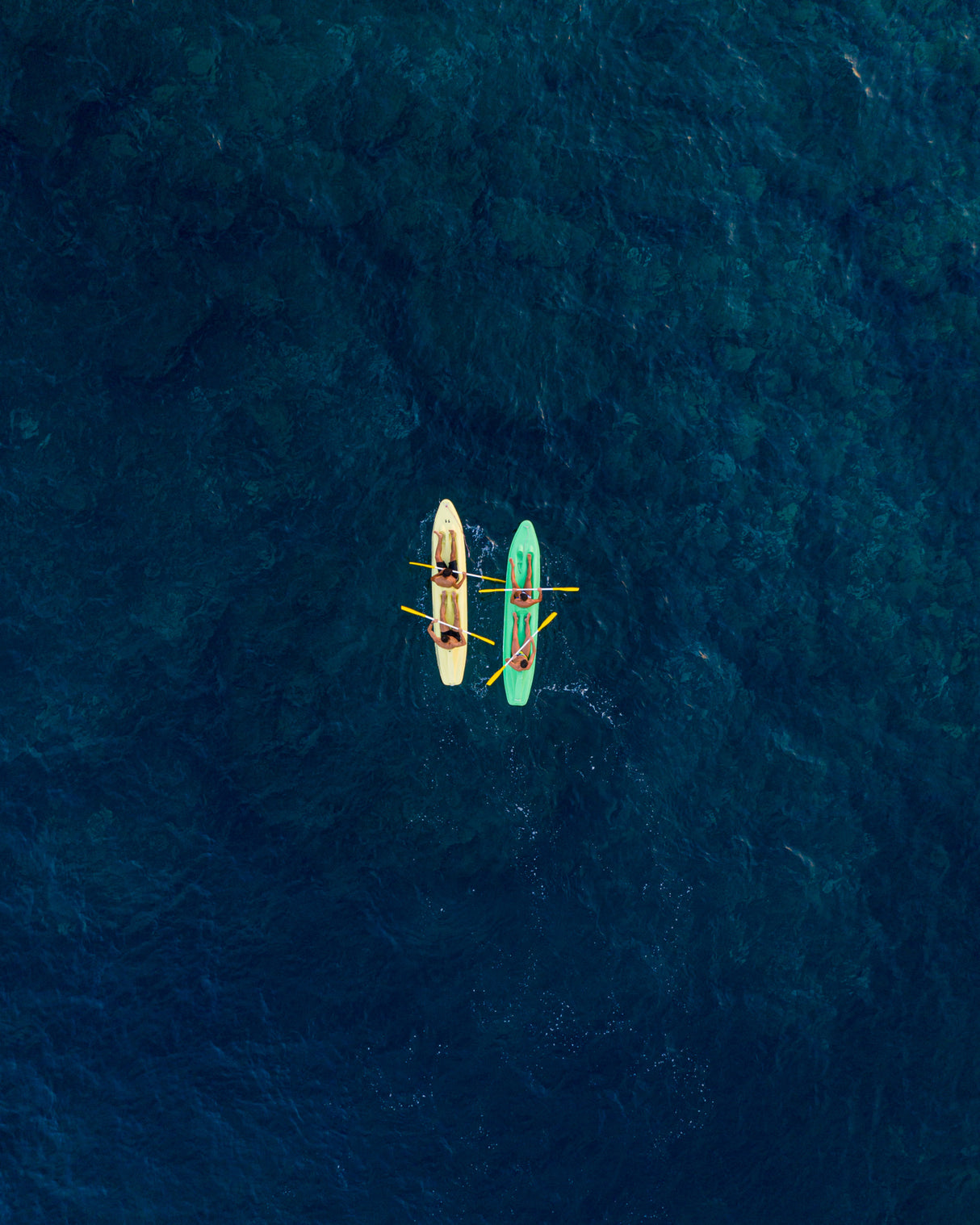 Canoes Poster och Canvastavla