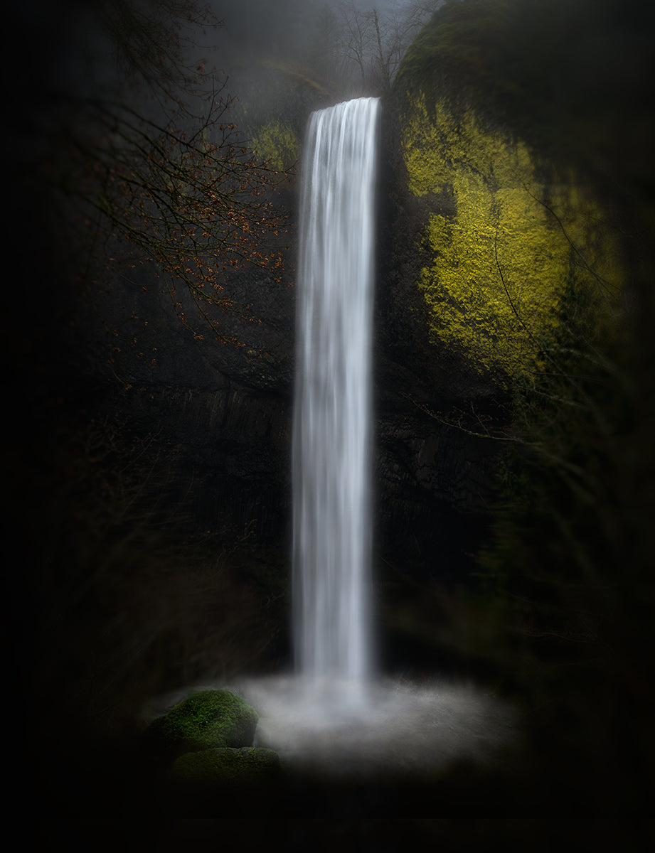 Latourell Falls Poster och Canvastavla