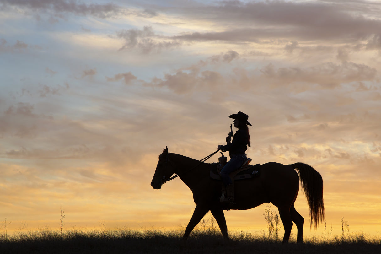 Cowgirl fun with Silhouette Poster och Canvastavla