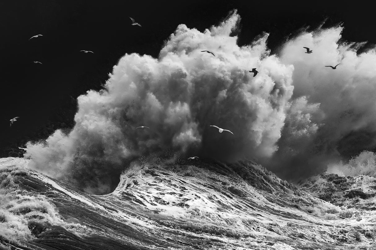 BIRDS IN THE STORM (Part 1) Poster och Canvastavla