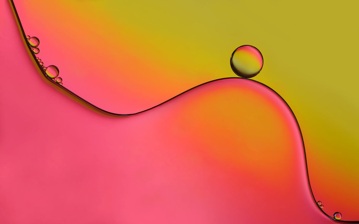 During Poster och Canvastavla