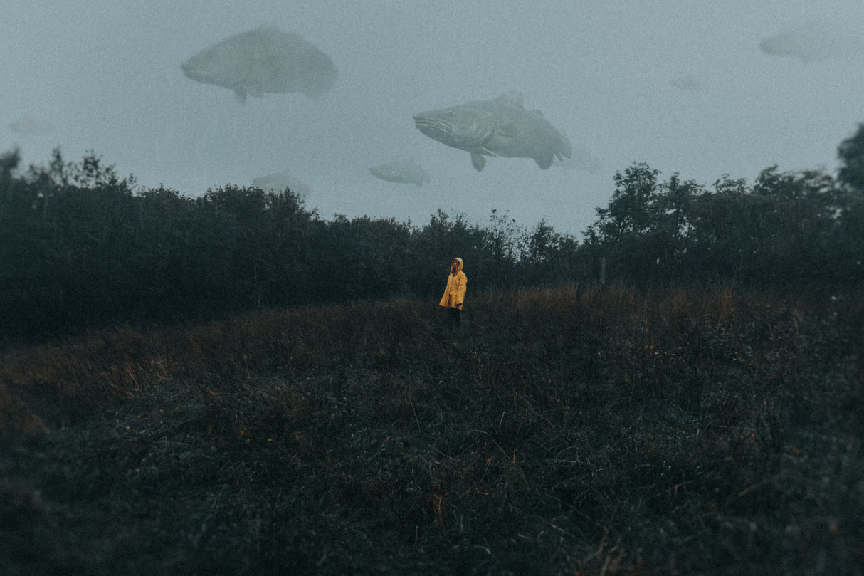 Raincoat... Poster och Canvastavla