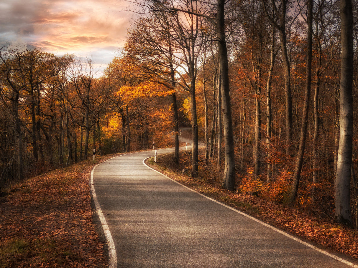 The Road Poster och Canvastavla
