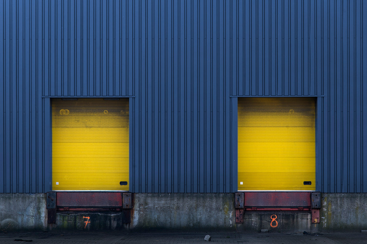 Yellow twins Poster och Canvastavla