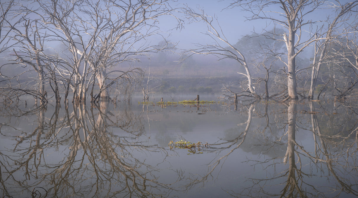 Morning reflections Poster och Canvastavla