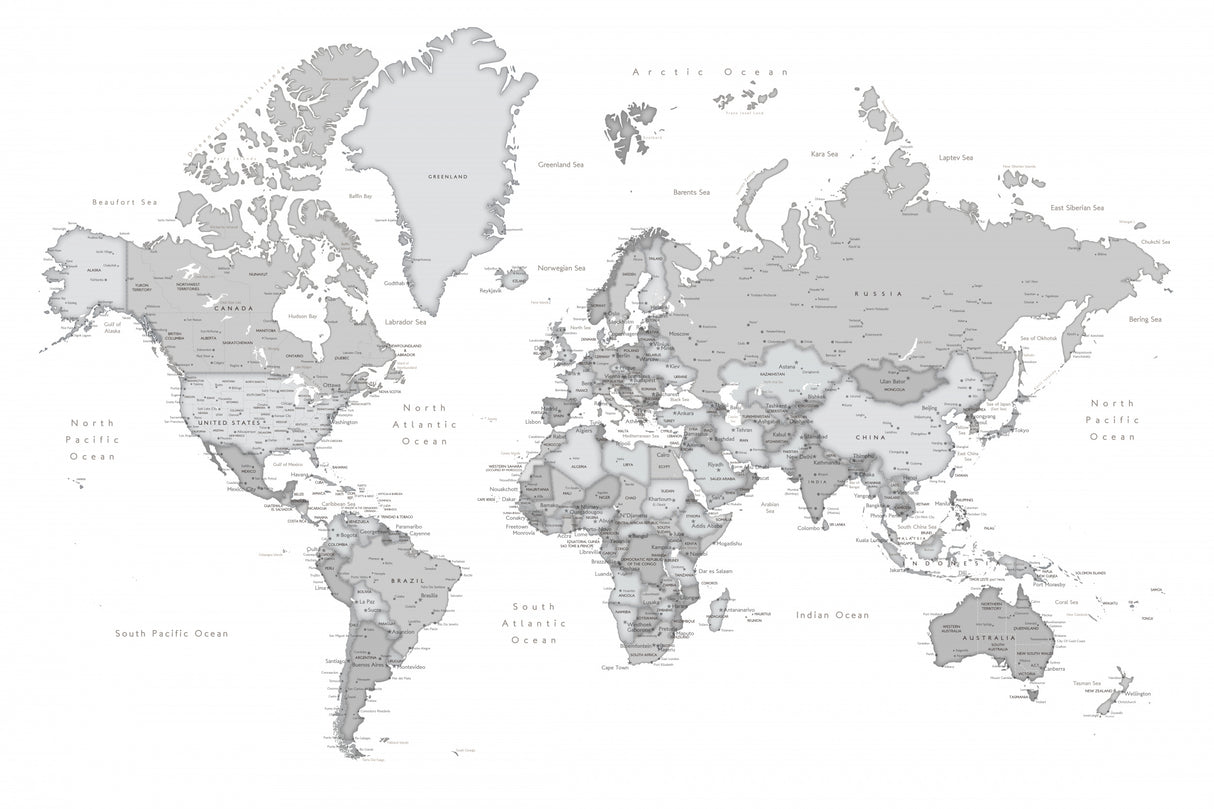 Gray world map with cities, Chas Poster och Canvastavla