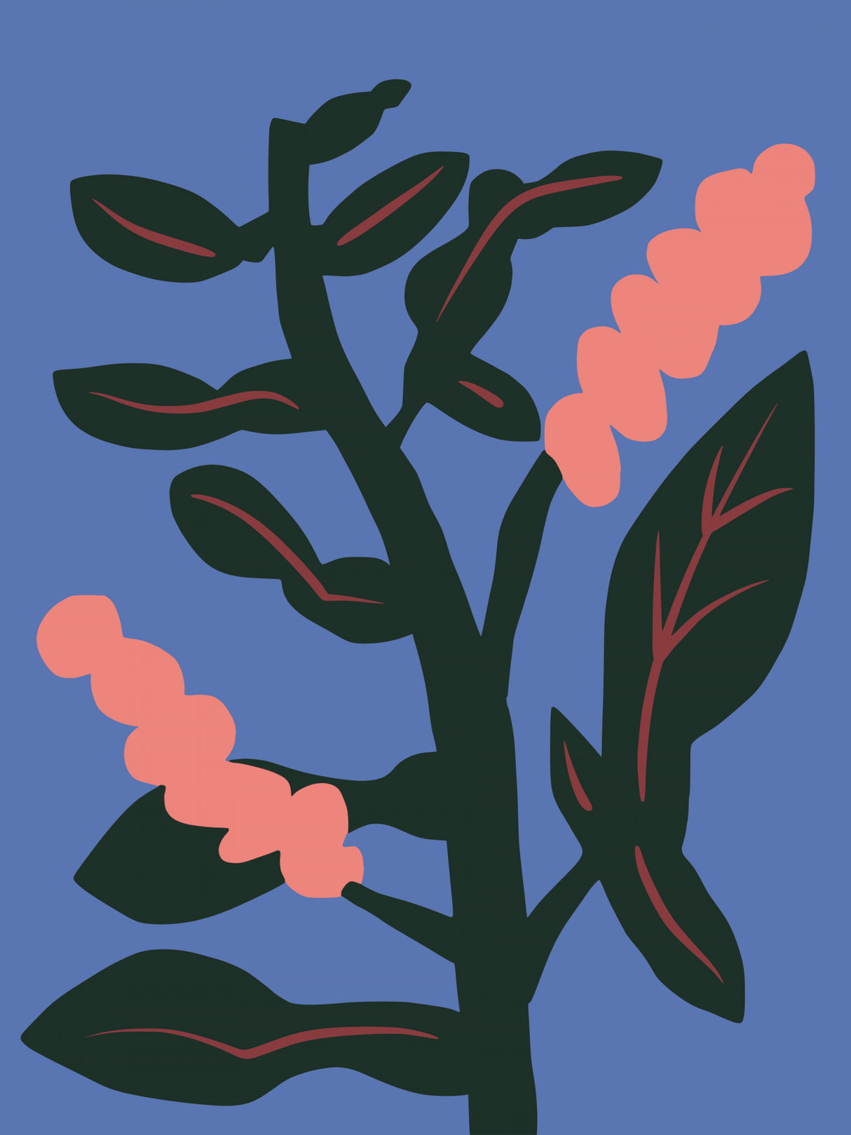 Lolipop Flower Poster och Canvastavla