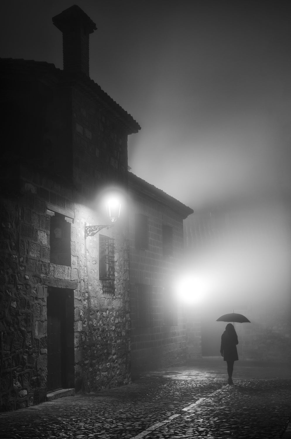 Fog Poster och Canvastavla