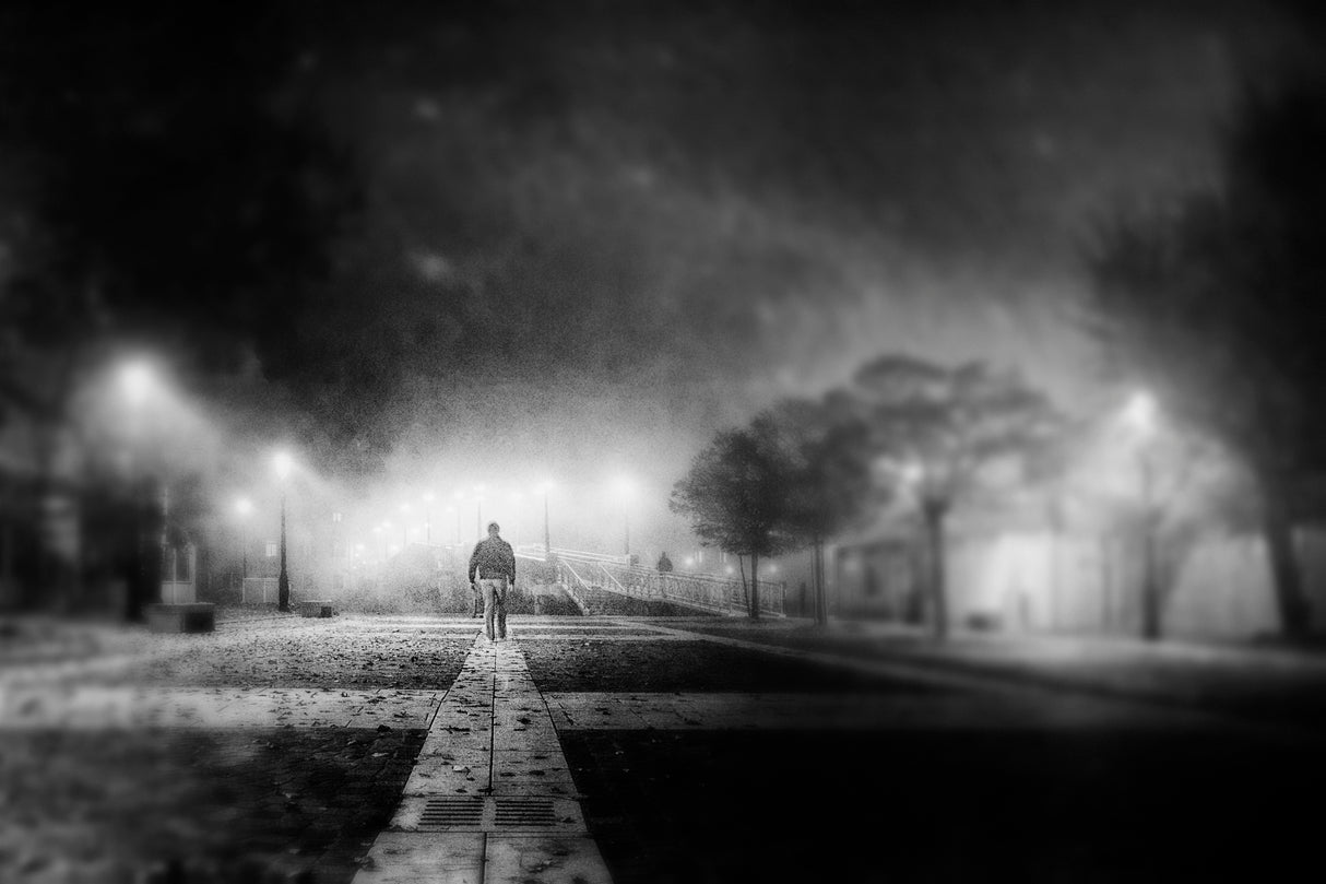 Alone Poster och Canvastavla