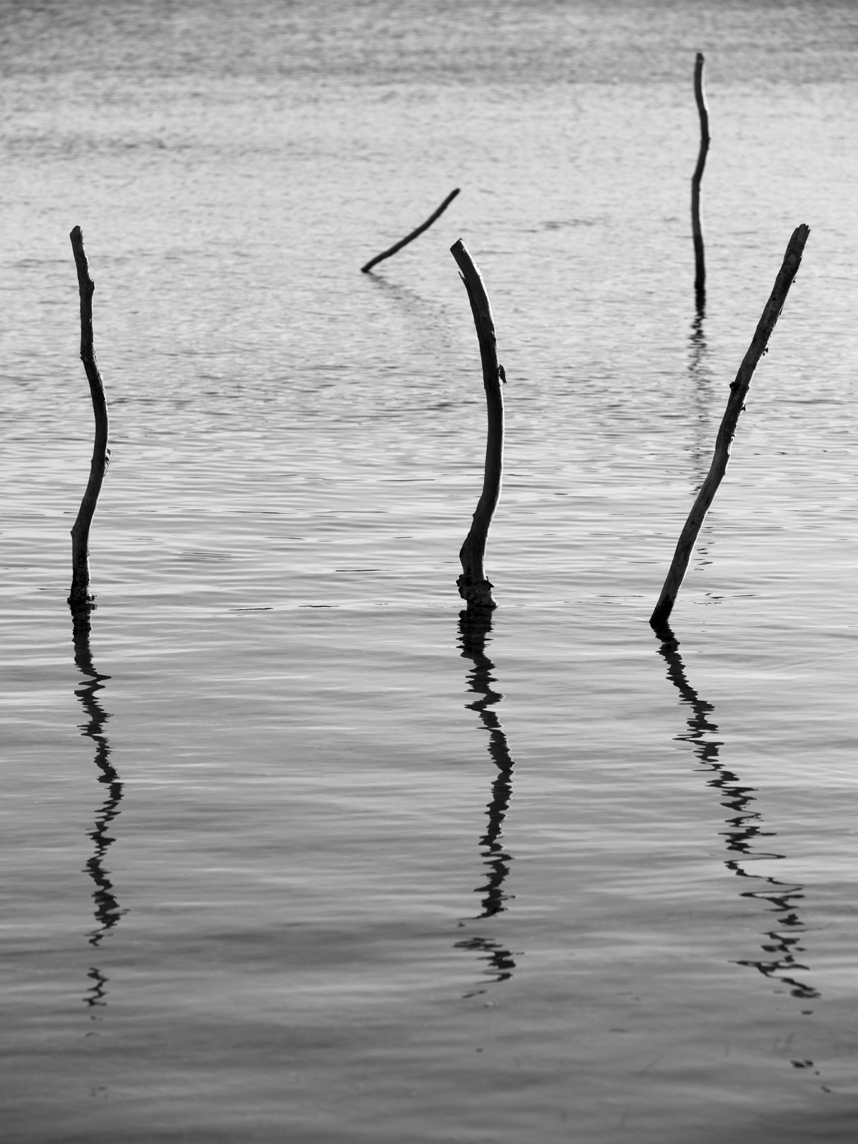 Reflect Poster och Canvastavla