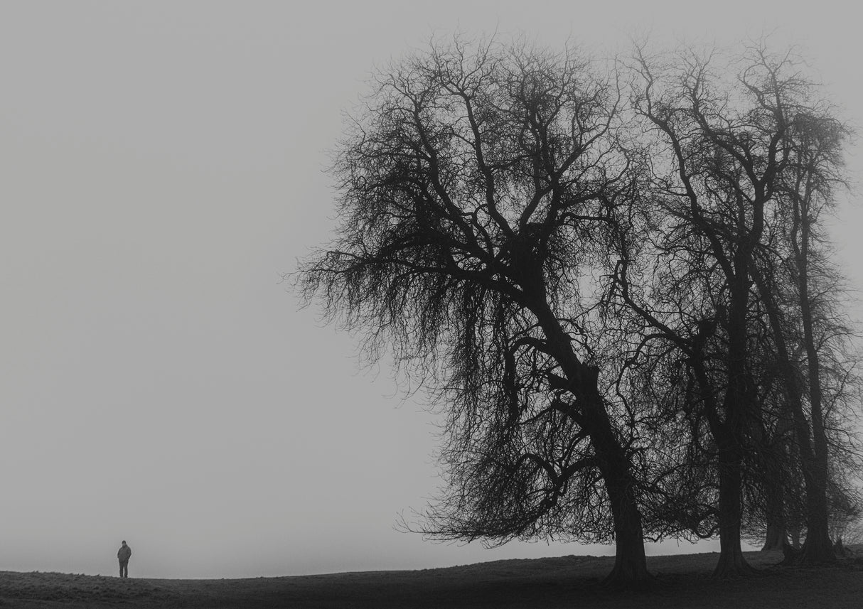 A Monster calls Poster och Canvastavla