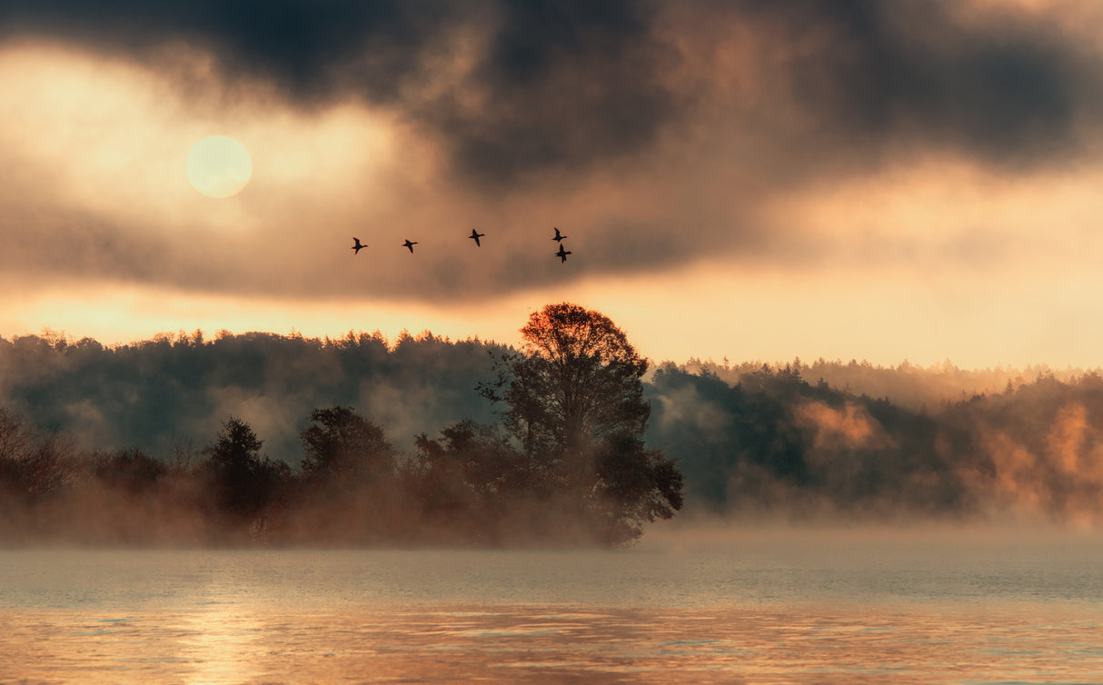 In the morning at the lake Poster och Canvastavla