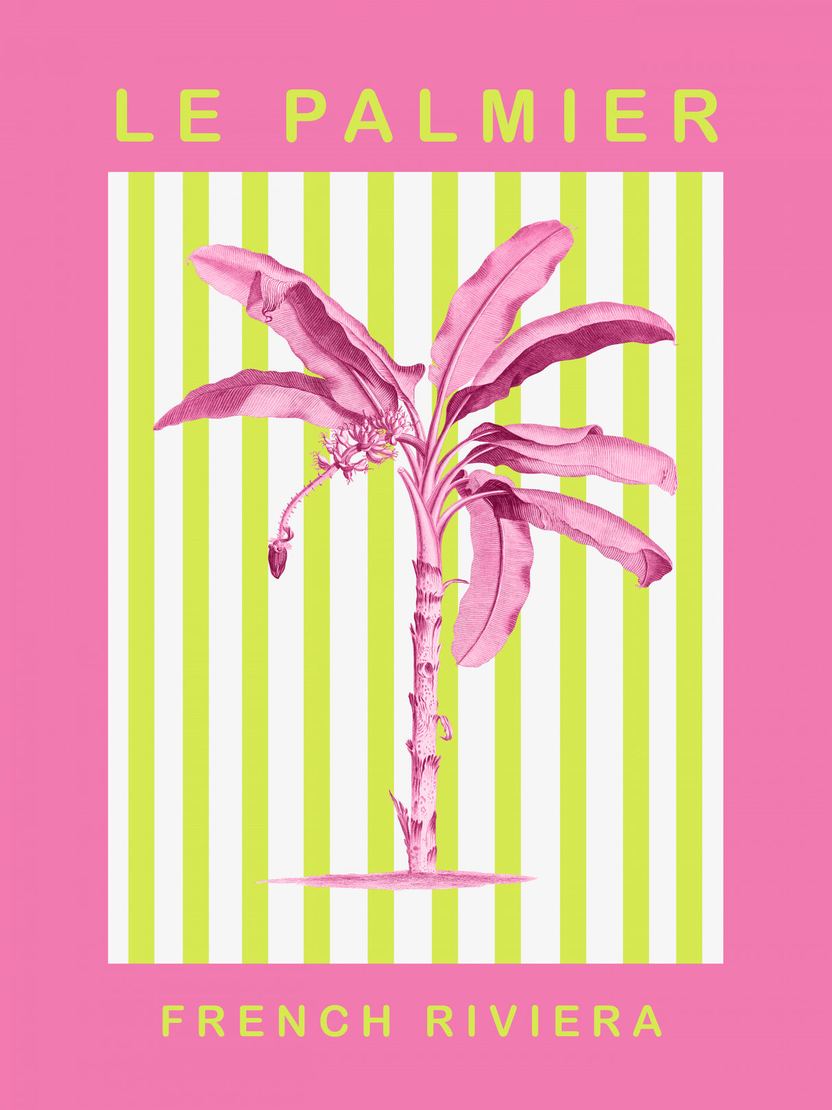 Summerpalm Ratio3x4 Poster och Canvastavla