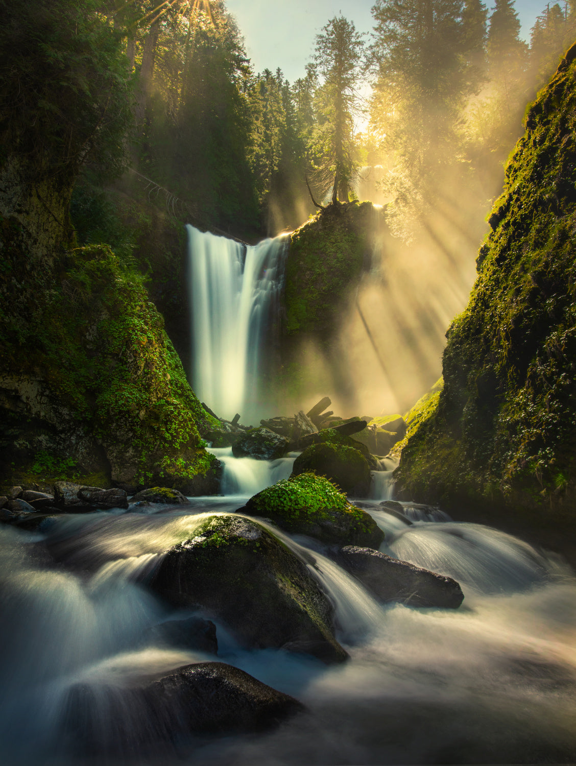 Misty Creek Falls Creek Poster och Canvastavla
