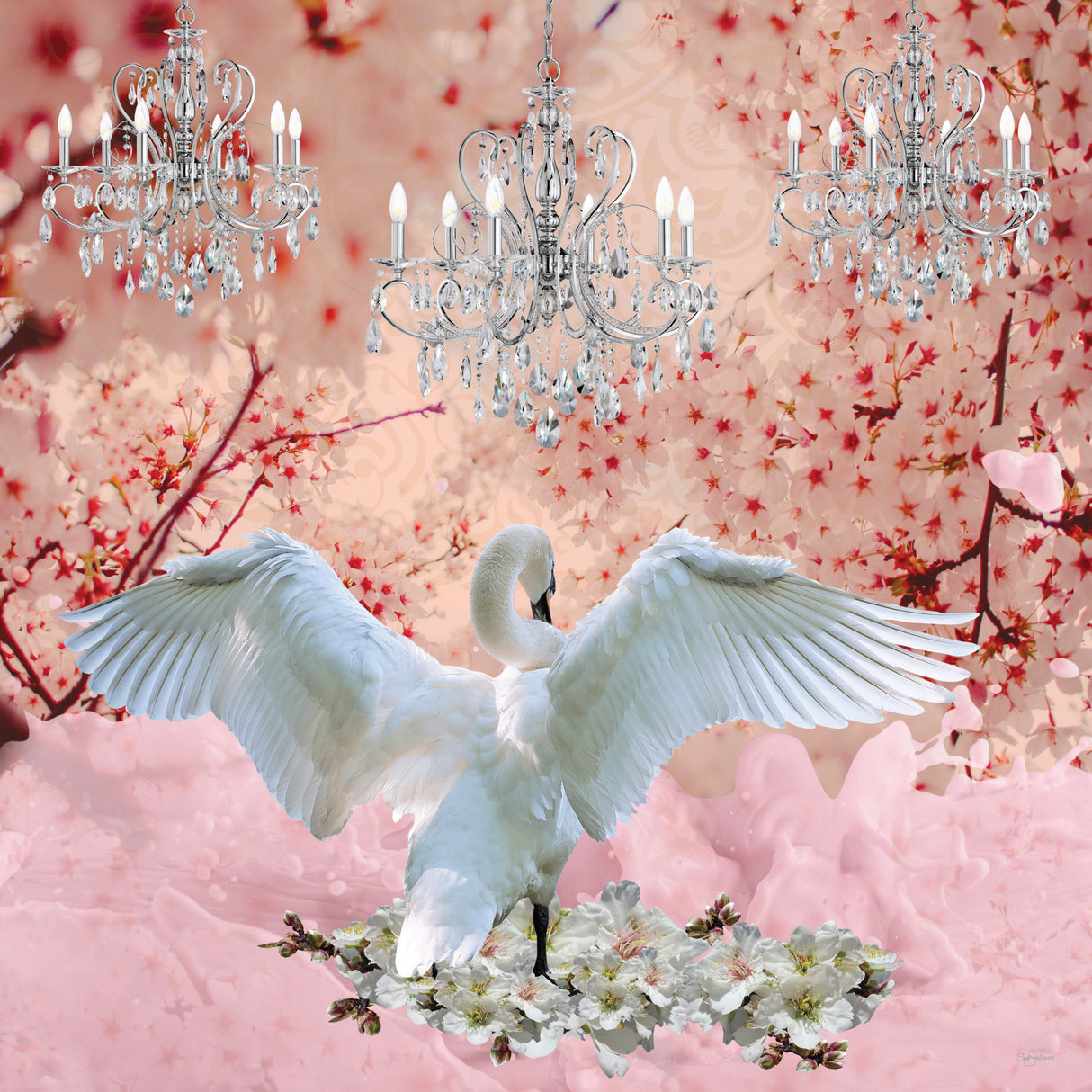 Champagne Swan Poster och Canvastavla