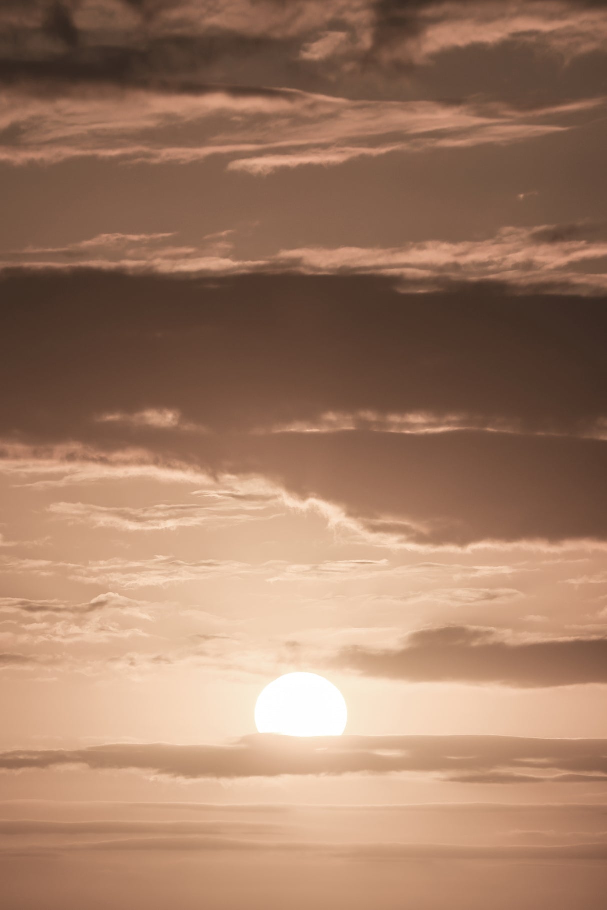 Liquid Sunshine Poster och Canvastavla