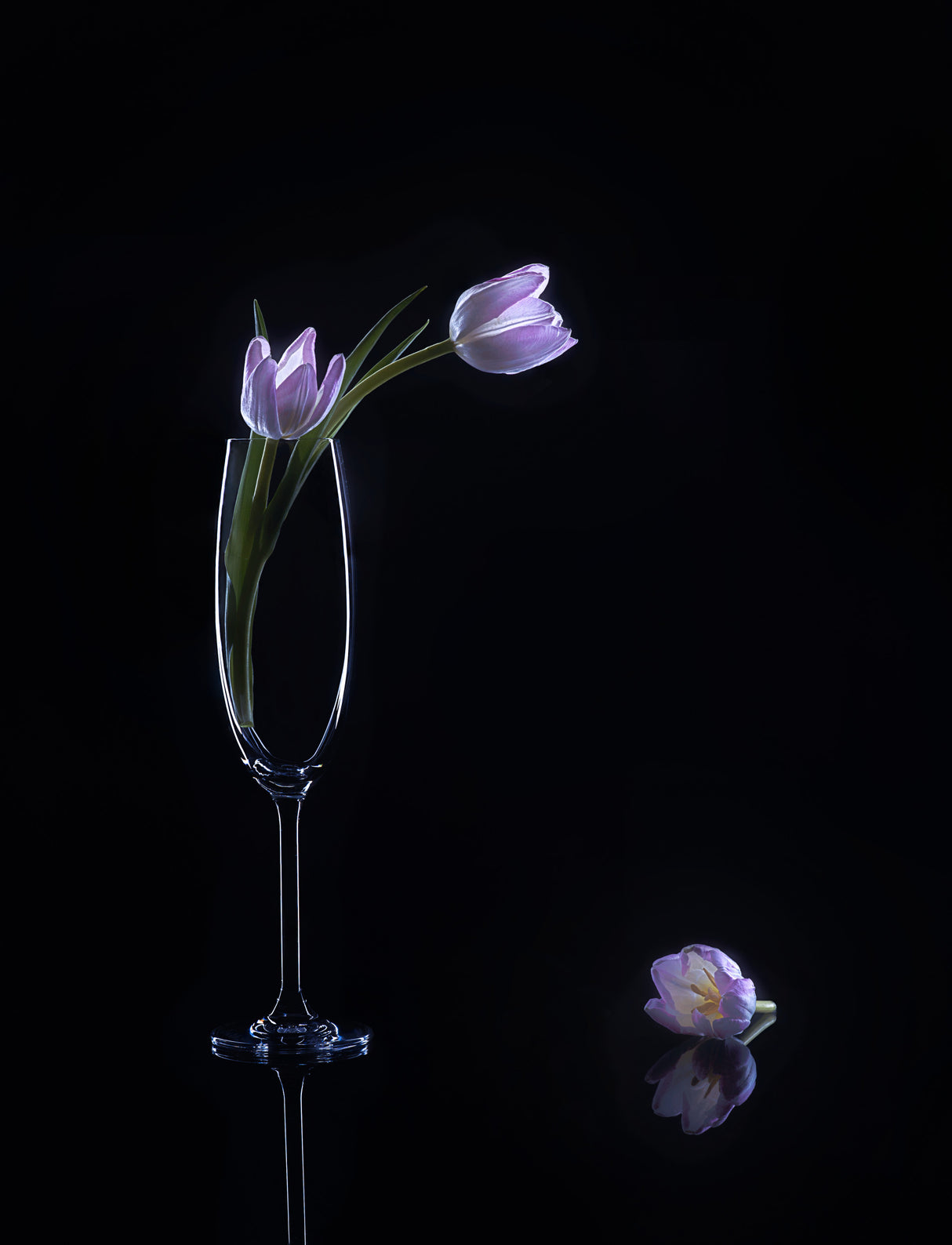 still life 74 Poster och Canvastavla