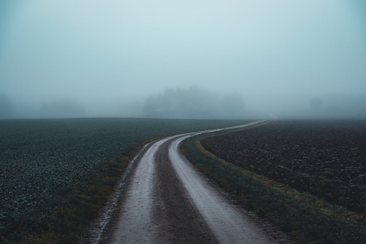 November road Poster och Canvastavla
