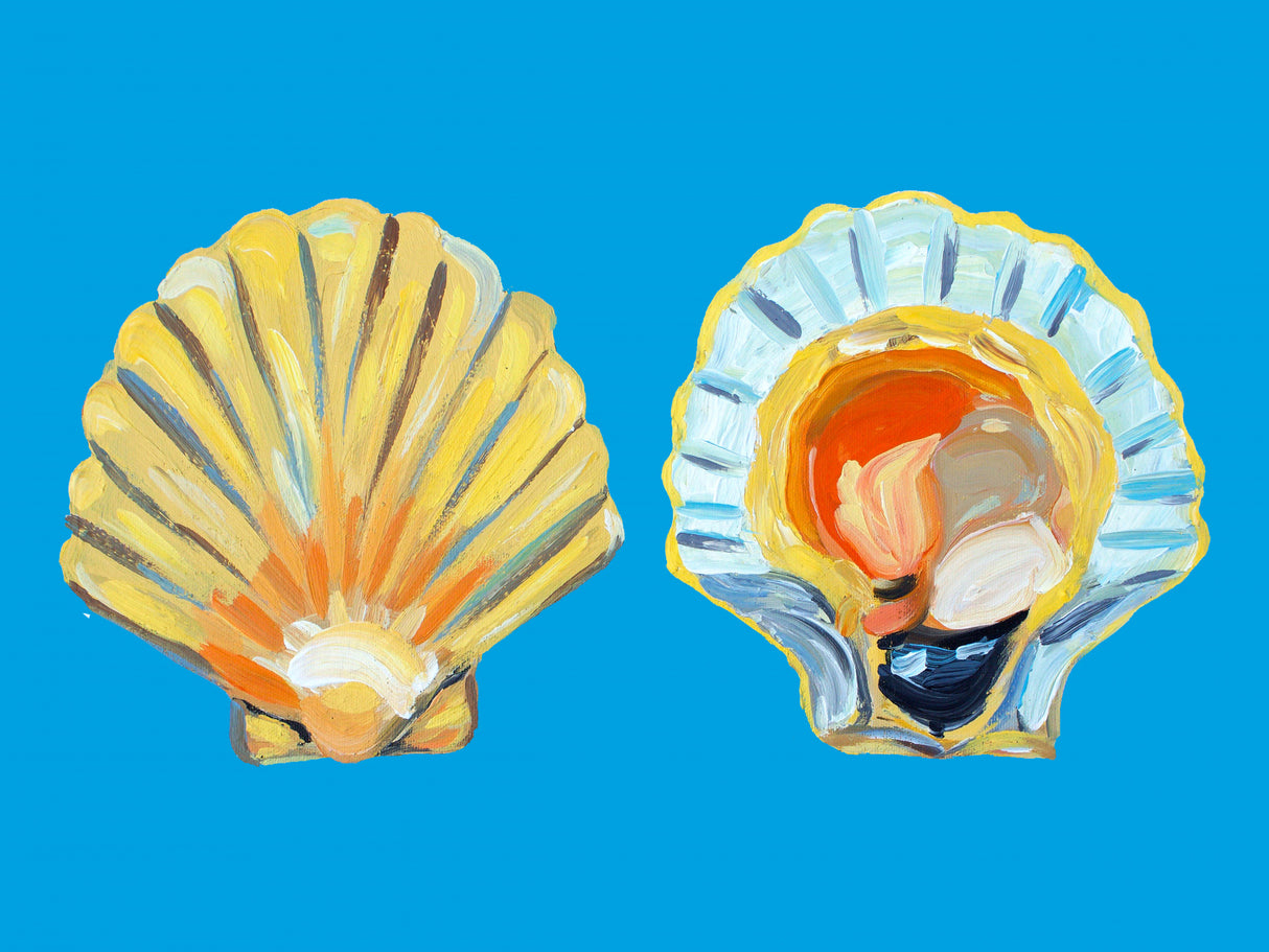 Scallops On Blue Poster och Canvastavla