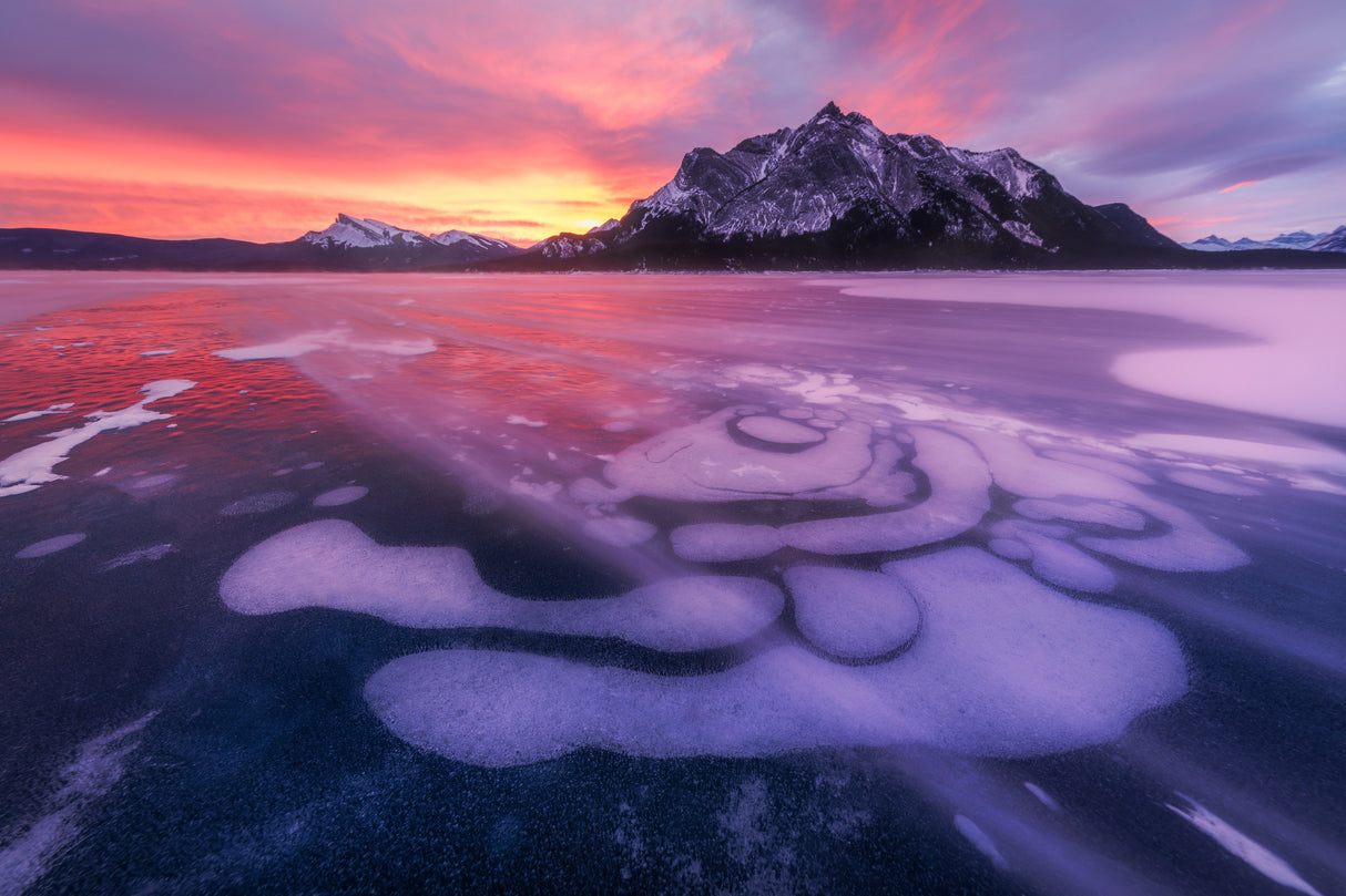 Sunrise at Abraham Lake Poster och Canvastavla