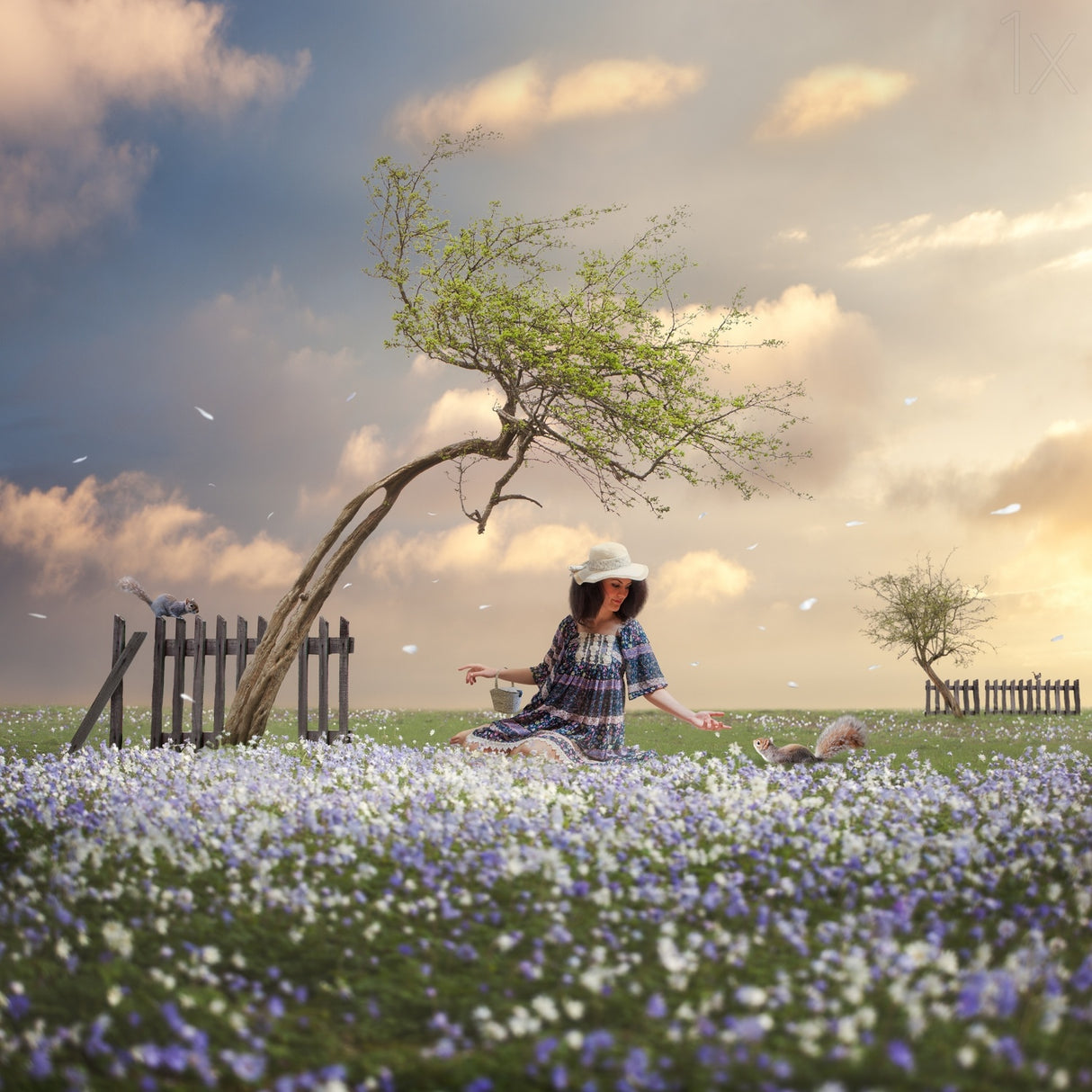 Spring Has Come Poster och Canvastavla
