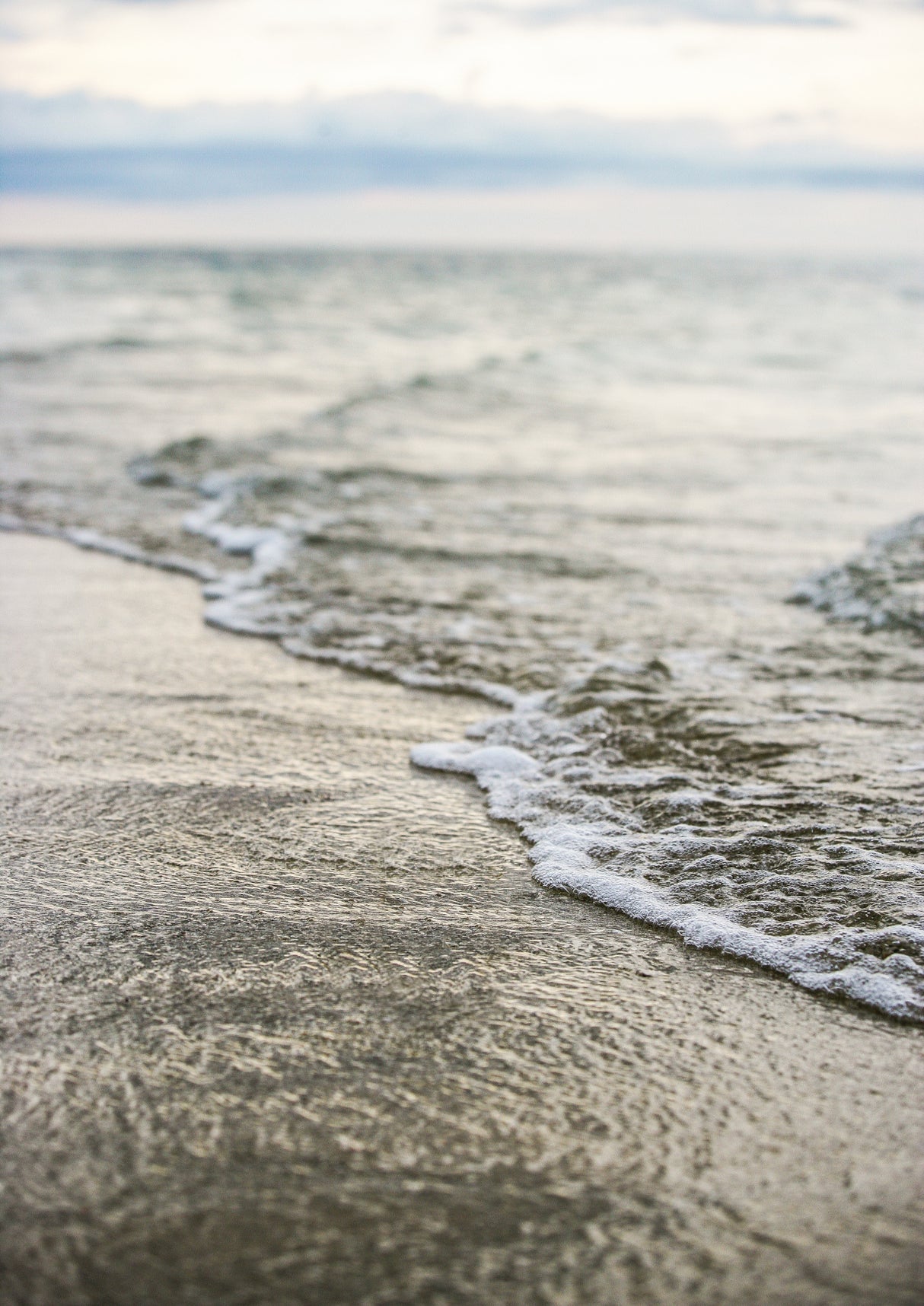 Sea Shore Poster och Canvastavla