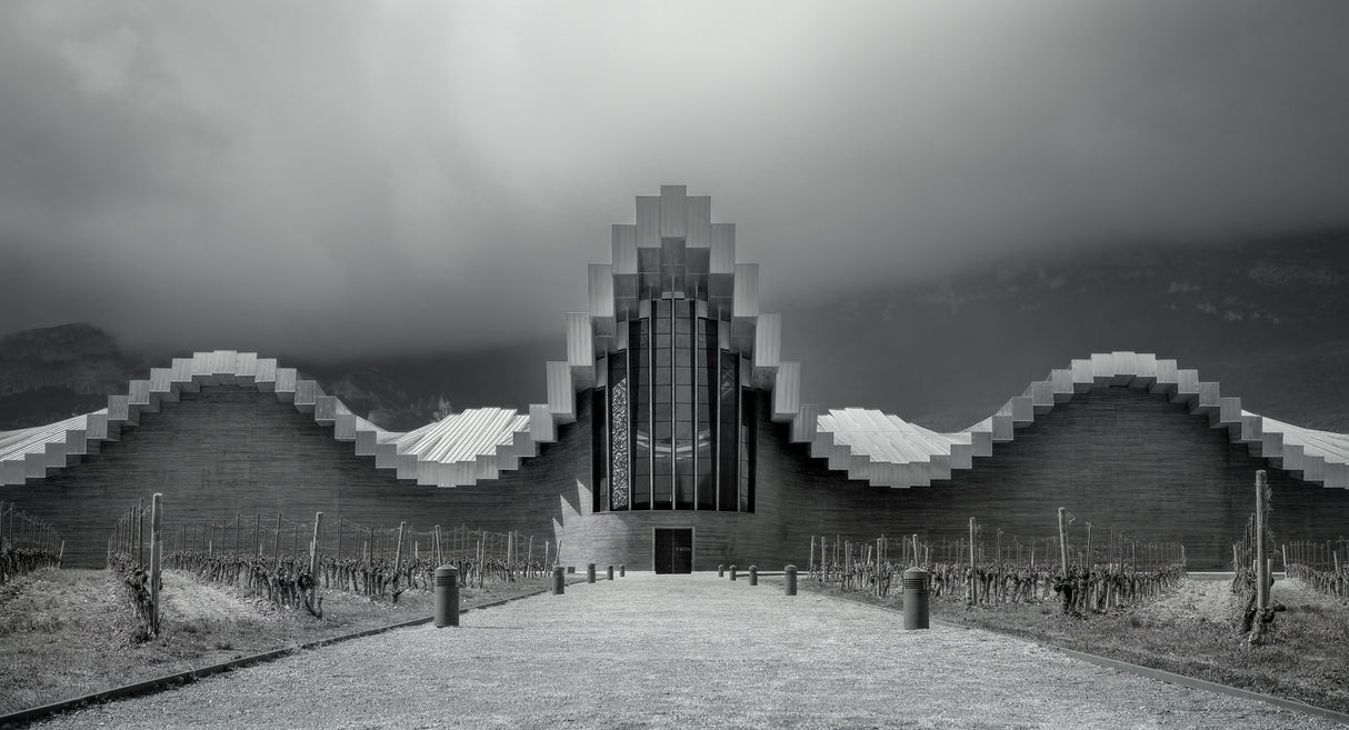 Ysios Wine cellar Poster och Canvastavla