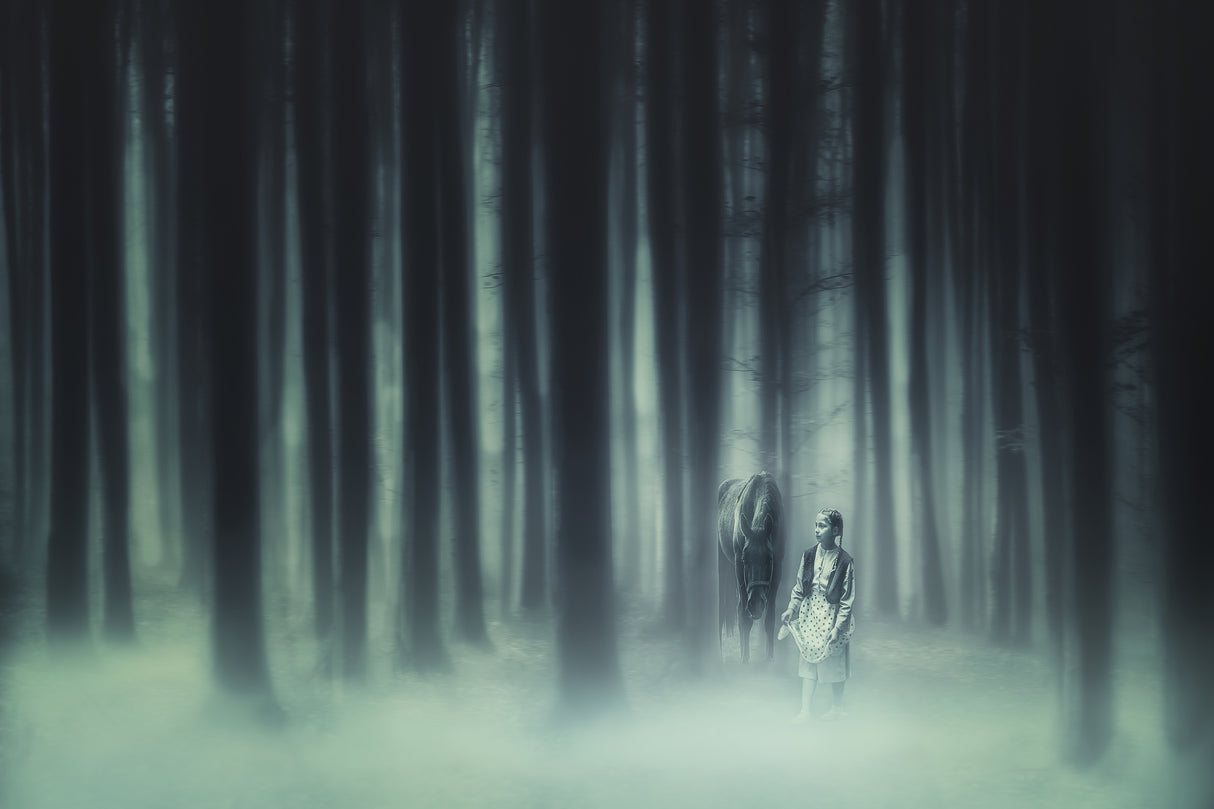 He had forest fairy Poster och Canvastavla