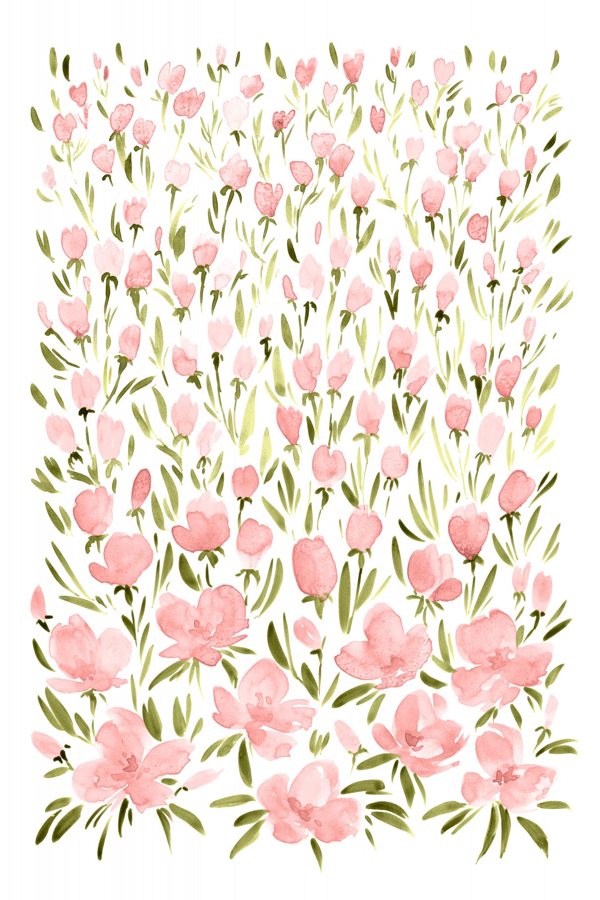 Field of pink flowers Poster och Canvastavla