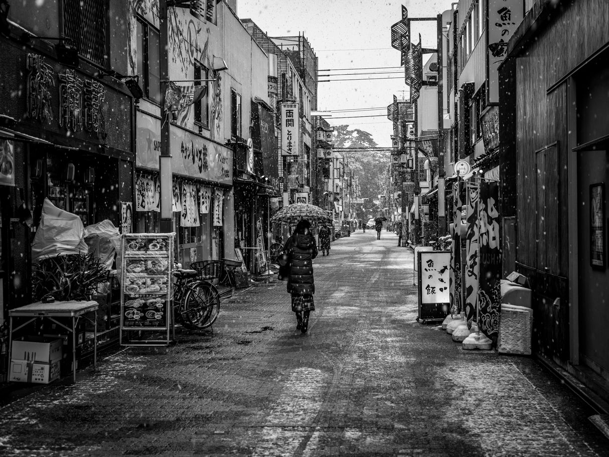It snows in downtown Tokyo Poster och Canvastavla