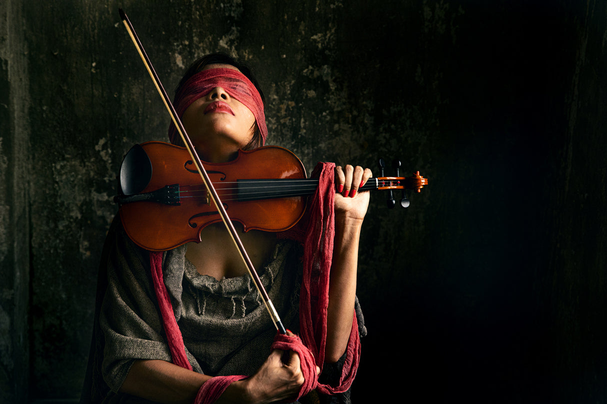 wild violinist Poster och Canvastavla