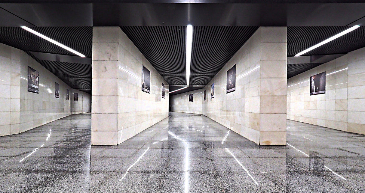 Moscow metro - Labyrinth Poster och Canvastavla