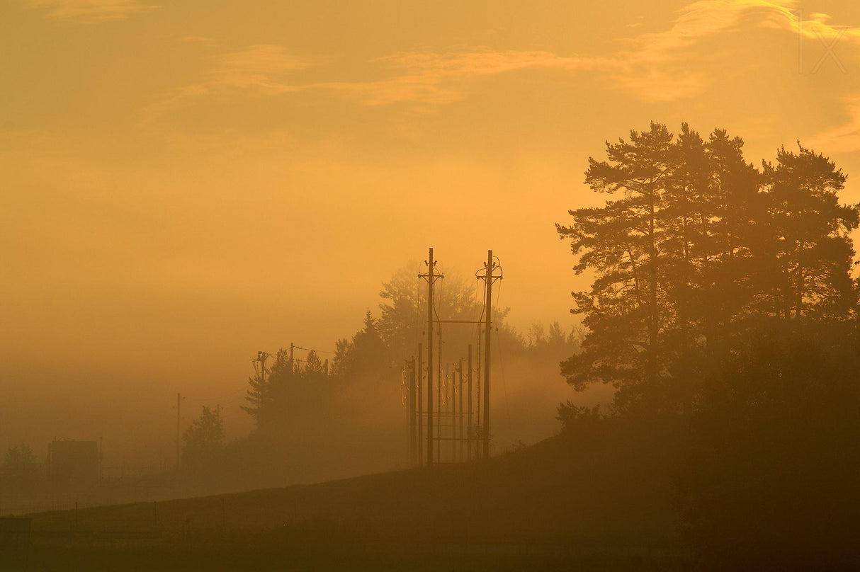 Morning mist. Poster och Canvastavla